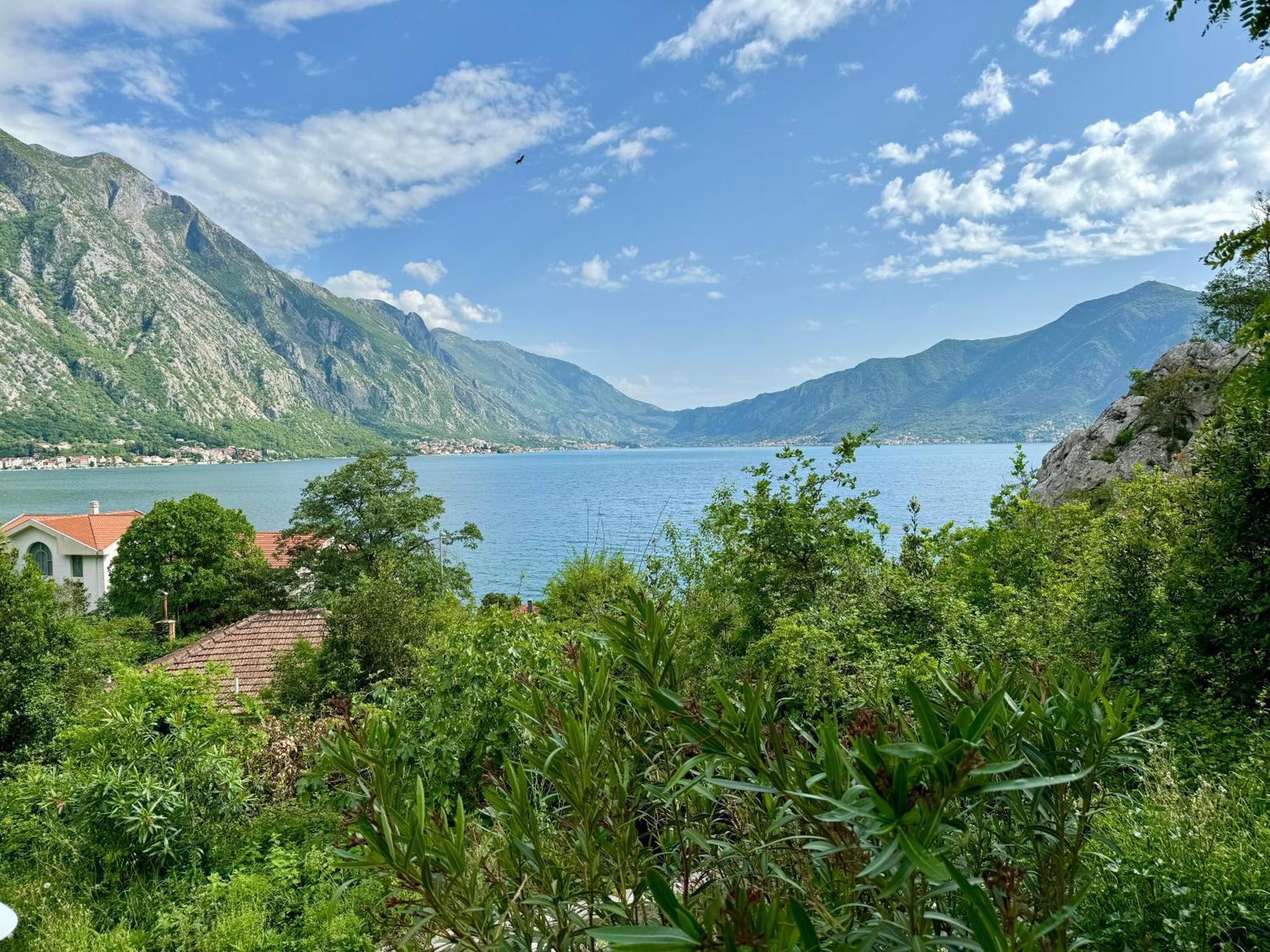 Olea Apartments Orahovac Kotor Dış mekan fotoğraf